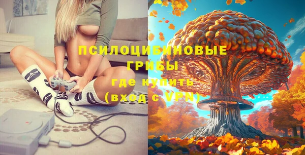 таблы Козельск