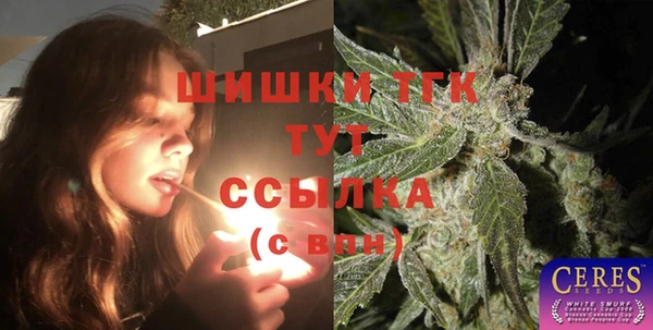 таблы Козельск